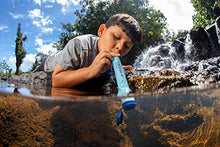 Load image into Gallery viewer, LifeStraw Personal Water Filter for Hiking, Camping, Travel, and Emergency Preparedness
